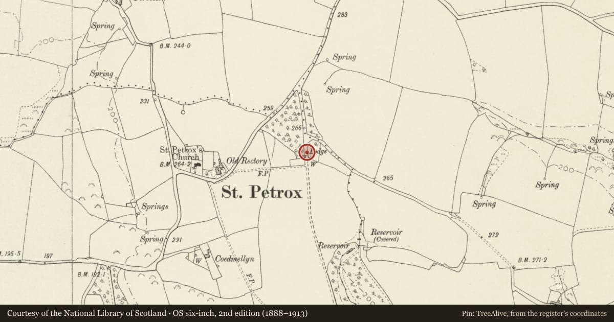 Ordnance Survey six-inch map, 2nd edition (1888–1913) covering the location of Gate at the North Lodge, Stackpole and Castlemartin, Pembrokeshire, with a pin at the register's coordinates