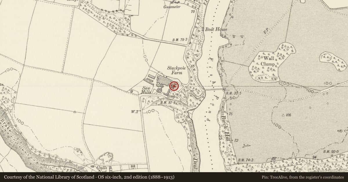 Ordnance Survey six-inch map, 2nd edition (1888–1913) covering the location of Manor House, Stackpole and Castlemartin, Pembrokeshire, with a pin at the register's coordinates