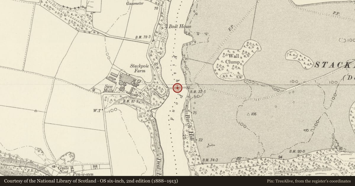Ordnance Survey six-inch map, 2nd edition (1888–1913) covering the location of Eight-Arch Bridge, Stackpole and Castlemartin, Pembrokeshire, with a pin at the register's coordinates