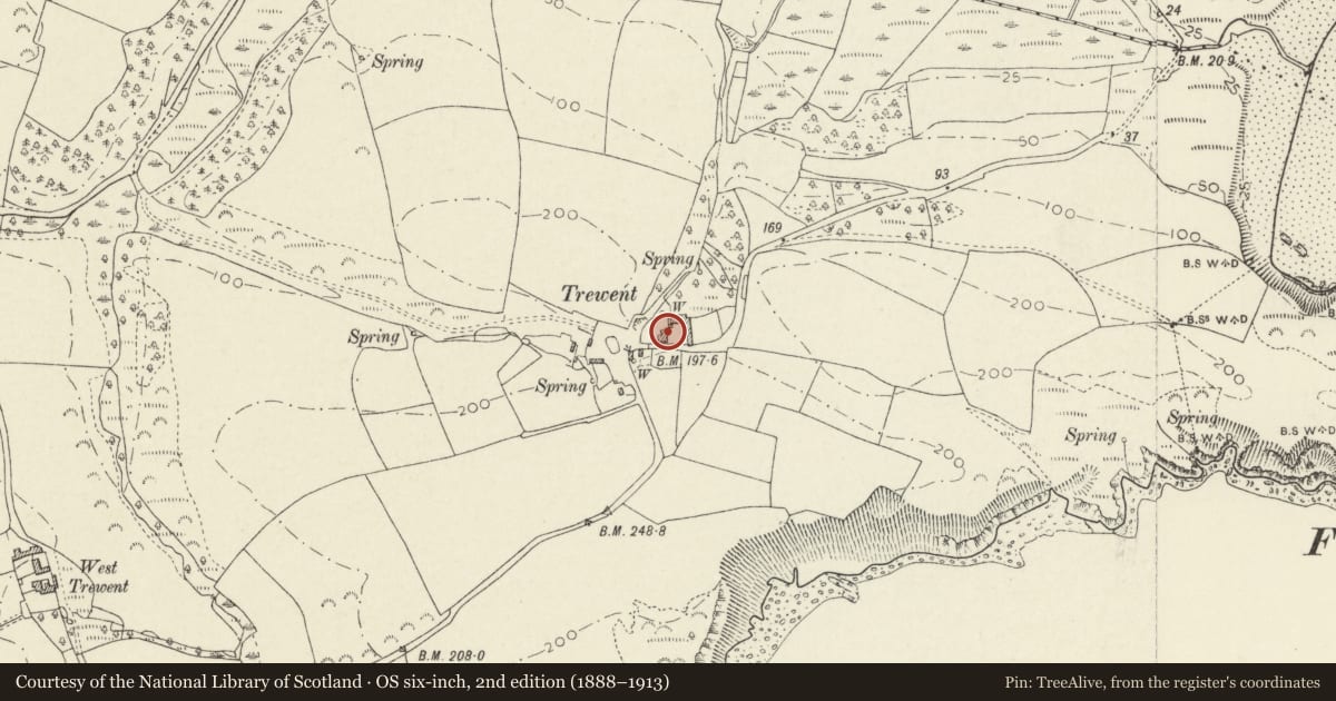Ordnance Survey six-inch map, 2nd edition (1888–1913) covering the location of East Trewent Mediaeval House, Stackpole and Castlemartin, Pembrokeshire, with a pin at the register's coordinates