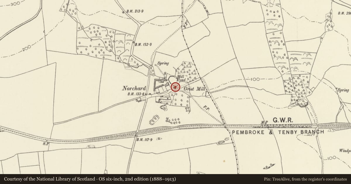 Ordnance Survey six-inch map, 2nd edition (1888–1913) covering the location of Corn Mill and Millpond, Manorbier, Pembrokeshire, with a pin at the register's coordinates