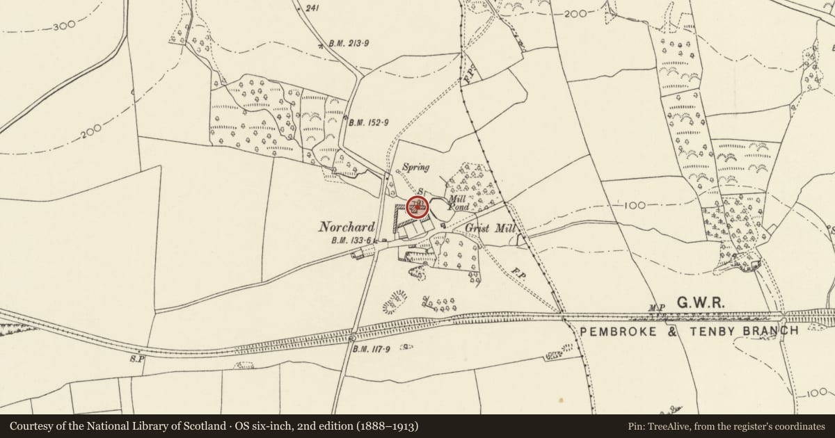 Ordnance Survey six-inch map, 2nd edition (1888–1913) covering the location of Norchard Farm Buildings, Manorbier, Pembrokeshire, with a pin at the register's coordinates
