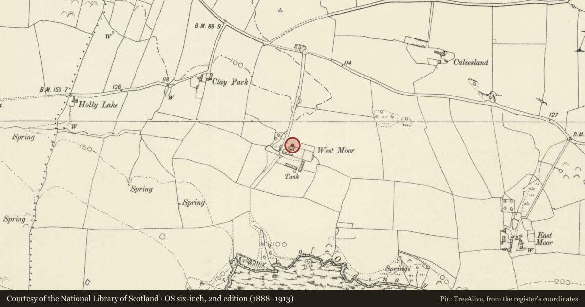Ordnance Survey six-inch map, 2nd edition (1888–1913) covering the location of West Moor Farmhouse, Manorbier, Pembrokeshire, with a pin at the register's coordinates
