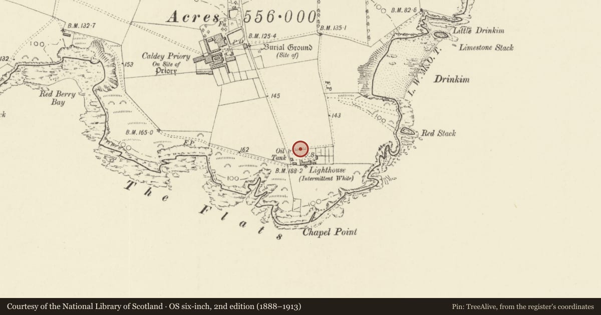 Ordnance Survey six-inch map, 2nd edition (1888–1913) covering the location of Boundary walls to lighthouse compound, Tenby, Pembrokeshire, with a pin at the register's coordinates
