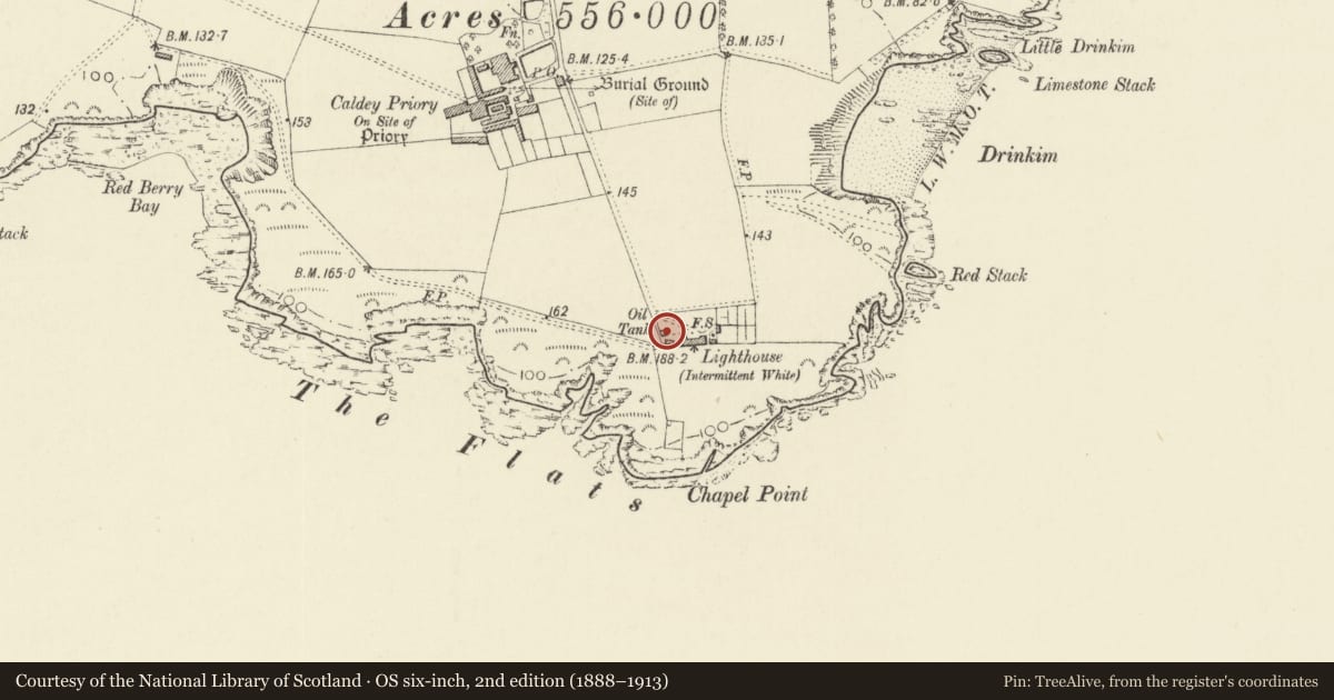 Ordnance Survey six-inch map, 2nd edition (1888–1913) covering the location of Former oil store at Caldey Lighthouse, Tenby, Pembrokeshire, with a pin at the register's coordinates