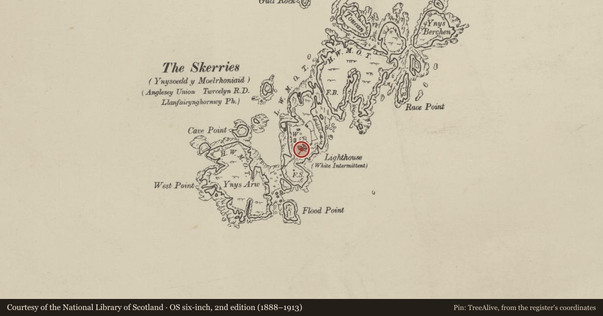 Ordnance Survey six-inch map, 2nd edition (1888–1913) covering the location of Skerries Lighthouse with associated buildings and enclosure walls, Cylch-y-Garn, Isle of Anglesey, with a pin at the register's coordinates