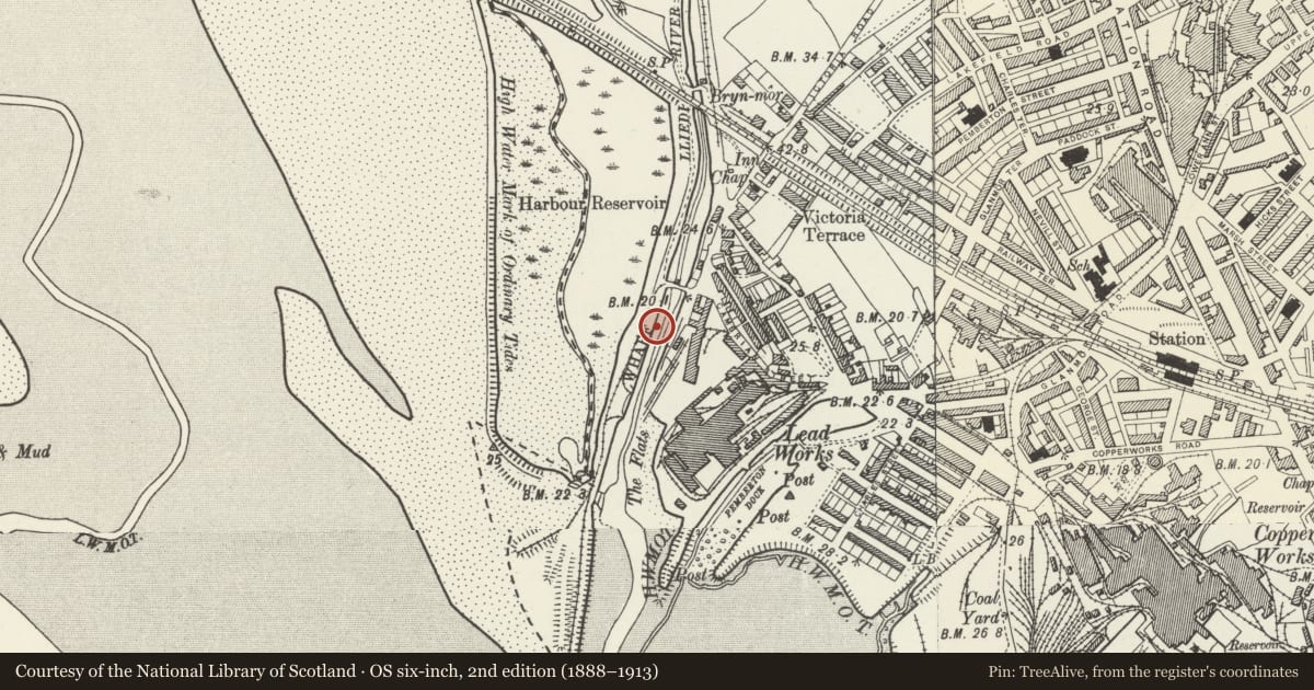 Ordnance Survey six-inch map, 2nd edition (1888–1913) covering the location of Carmarthenshire Dock west quay, Llanelli, Carmarthenshire, with a pin at the register's coordinates