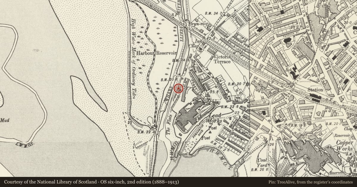 Ordnance Survey six-inch map, 2nd edition (1888–1913) covering the location of Carmarthenshire Dock east quay, Llanelli, Carmarthenshire, with a pin at the register's coordinates