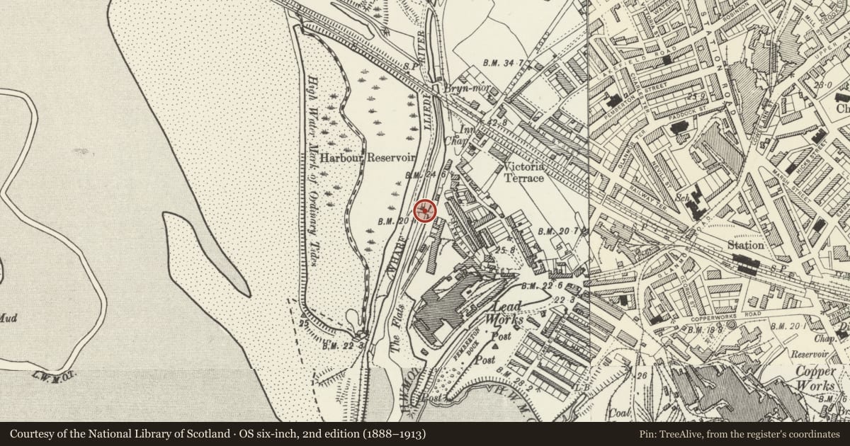 Ordnance Survey six-inch map, 2nd edition (1888–1913) covering the location of Carmarthenshire Dock tramroad bridge, Llanelli, Carmarthenshire, with a pin at the register's coordinates