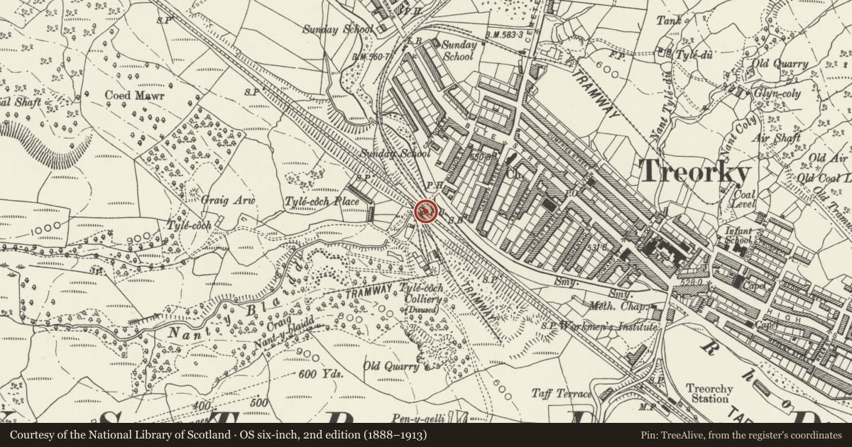 Ordnance Survey six-inch map, 2nd edition (1888–1913) covering the location of Railway footbridge, Treorchy, Rhondda Cynon Taff, with a pin at the register's coordinates