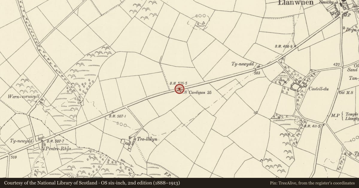 Ordnance Survey six-inch map, 2nd edition (1888–1913) covering the location of Milestone on A475 to W of Llanwnnen, Ceredigion, with a pin at the register's coordinates