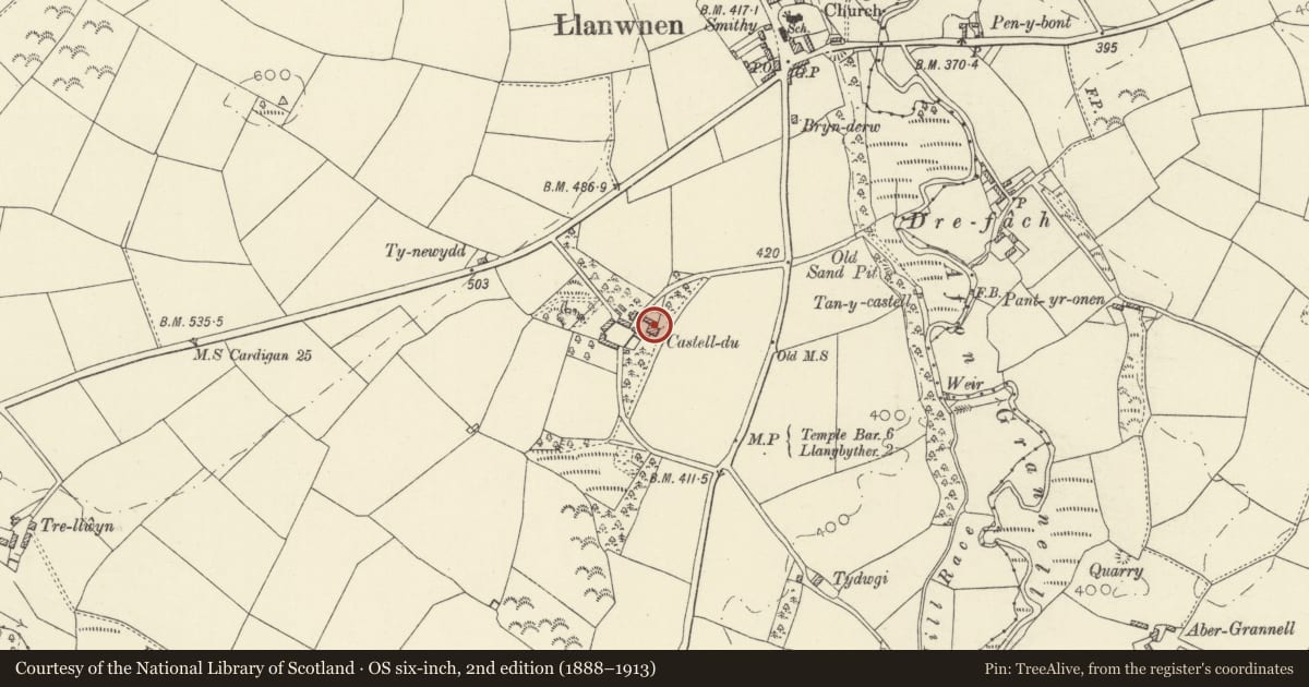 Ordnance Survey six-inch map, 2nd edition (1888–1913) covering the location of Castell-du, Llanwnnen, Ceredigion, with a pin at the register's coordinates