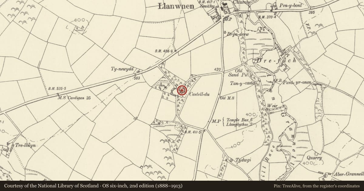 Ordnance Survey six-inch map, 2nd edition (1888–1913) covering the location of Outbuilding to SW of Castell-du, Llanwnnen, Ceredigion, with a pin at the register's coordinates