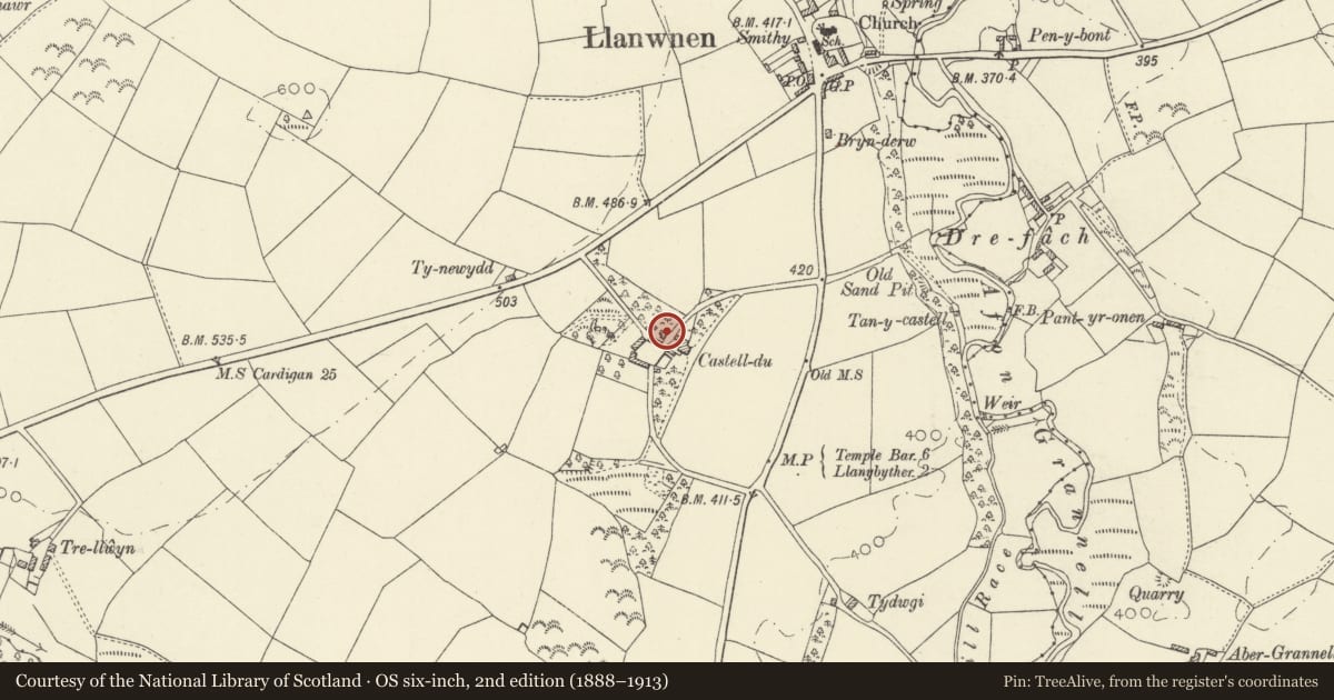 Ordnance Survey six-inch map, 2nd edition (1888–1913) covering the location of Coach-house and stables at Castell-du, Llanwnnen, Ceredigion, with a pin at the register's coordinates