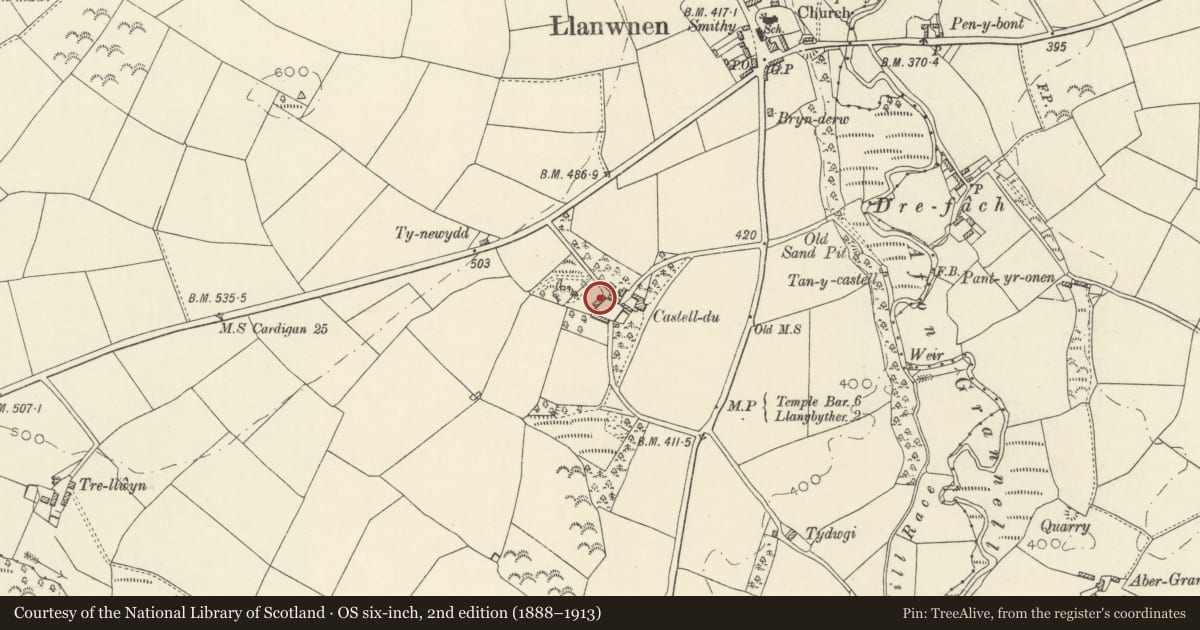 Ordnance Survey six-inch map, 2nd edition (1888–1913) covering the location of Barn and Cart-Shed range at Castell-du, Llanwnnen, Ceredigion, with a pin at the register's coordinates