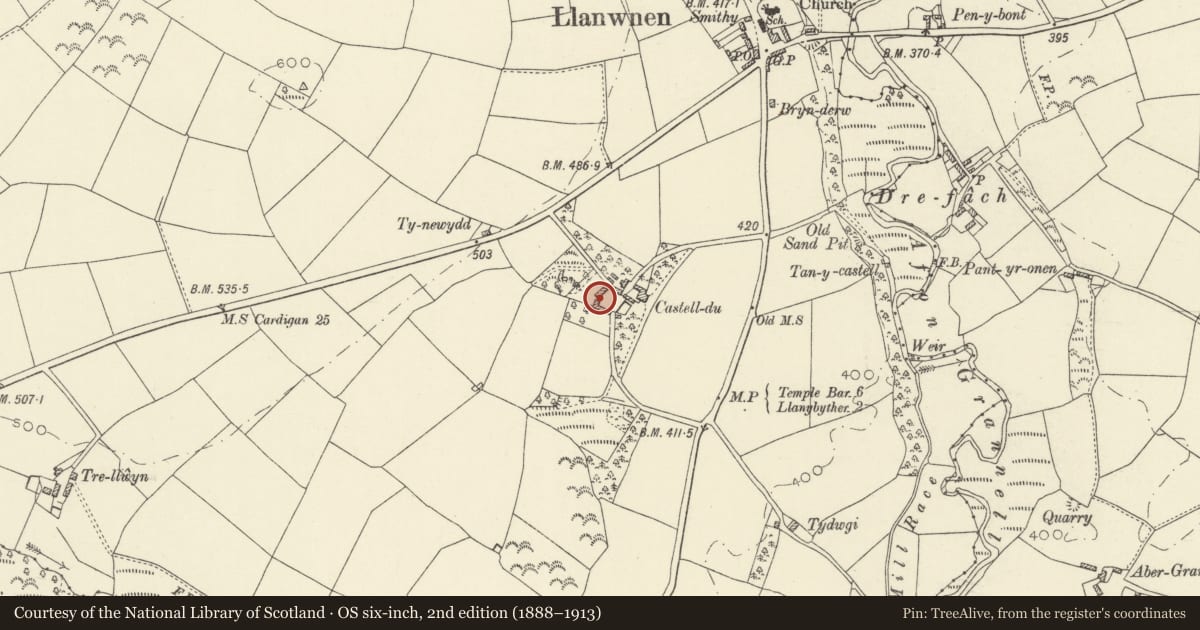 Ordnance Survey six-inch map, 2nd edition (1888–1913) covering the location of Outbuilding in W angle of Farmyard at Castell-du, Llanwnnen, Ceredigion, with a pin at the register's coordinates