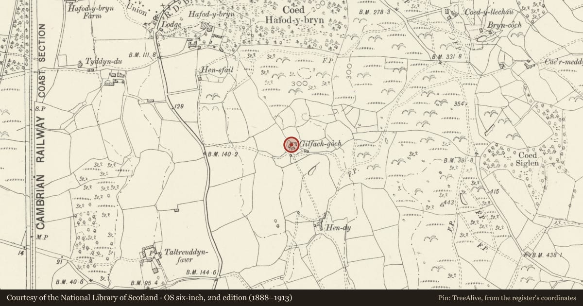 Ordnance Survey six-inch map, 2nd edition (1888–1913) covering the location of Agricultural range to rear of Gilfach Goch, Llanbedr, Gwynedd, with a pin at the register's coordinates