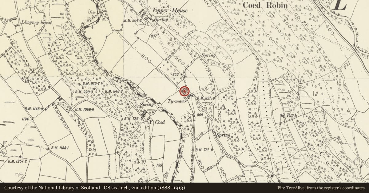 Ordnance Survey six-inch map, 2nd edition (1888–1913) covering the location of Ty-mawr Farmhouse, Crucorney, Monmouthshire, with a pin at the register's coordinates