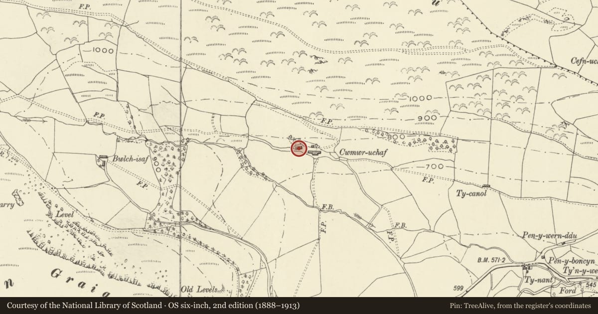 Ordnance Survey six-inch map, 2nd edition (1888–1913) covering the location of Barn Range at Cwmwr-uchaf, Pen-y-bont-Fawr, Powys, with a pin at the register's coordinates