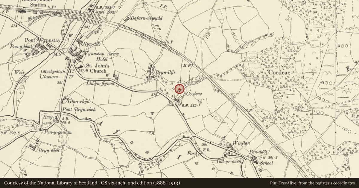 Ordnance Survey six-inch map, 2nd edition (1888–1913) covering the location of Coed Cae, Llanbrynmair, Powys, with a pin at the register's coordinates