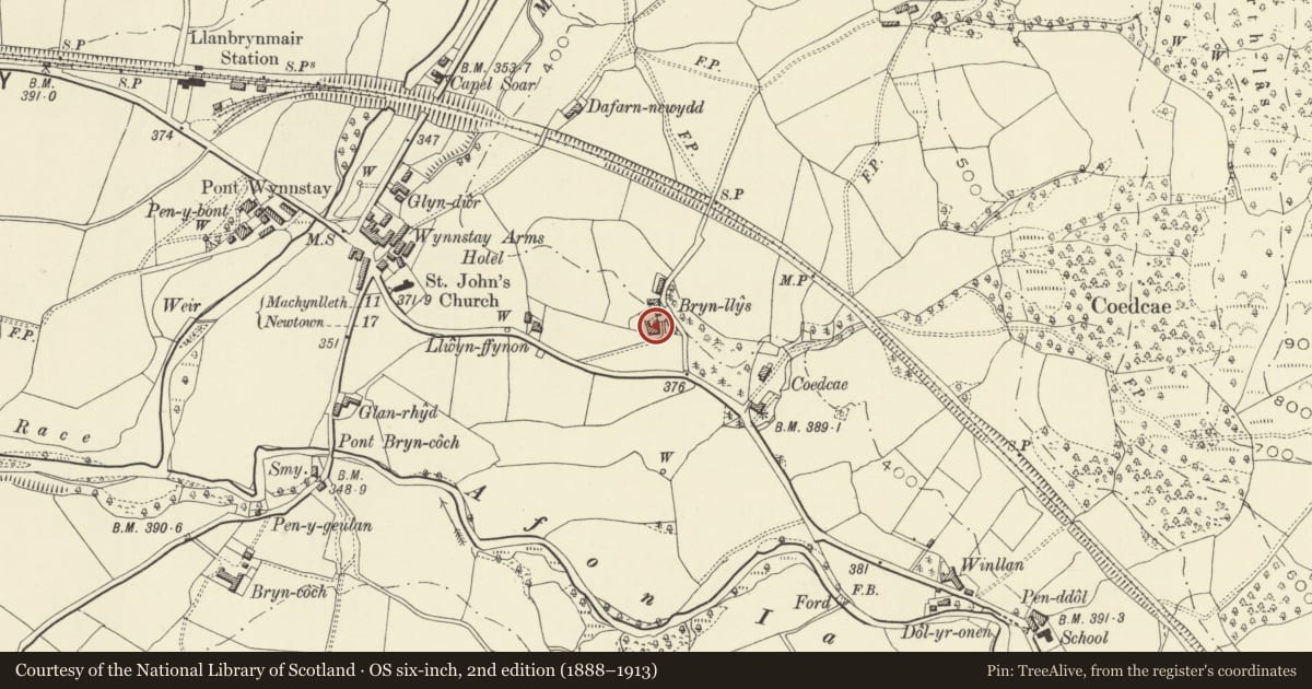 Ordnance Survey six-inch map, 2nd edition (1888–1913) covering the location of Bryn llys, Llanbrynmair, Powys, with a pin at the register's coordinates