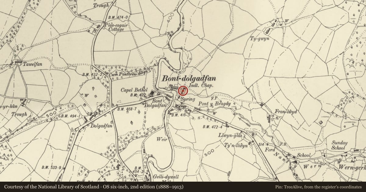 Ordnance Survey six-inch map, 2nd edition (1888–1913) covering the location of Tremafon, Llanbrynmair, Powys, with a pin at the register's coordinates