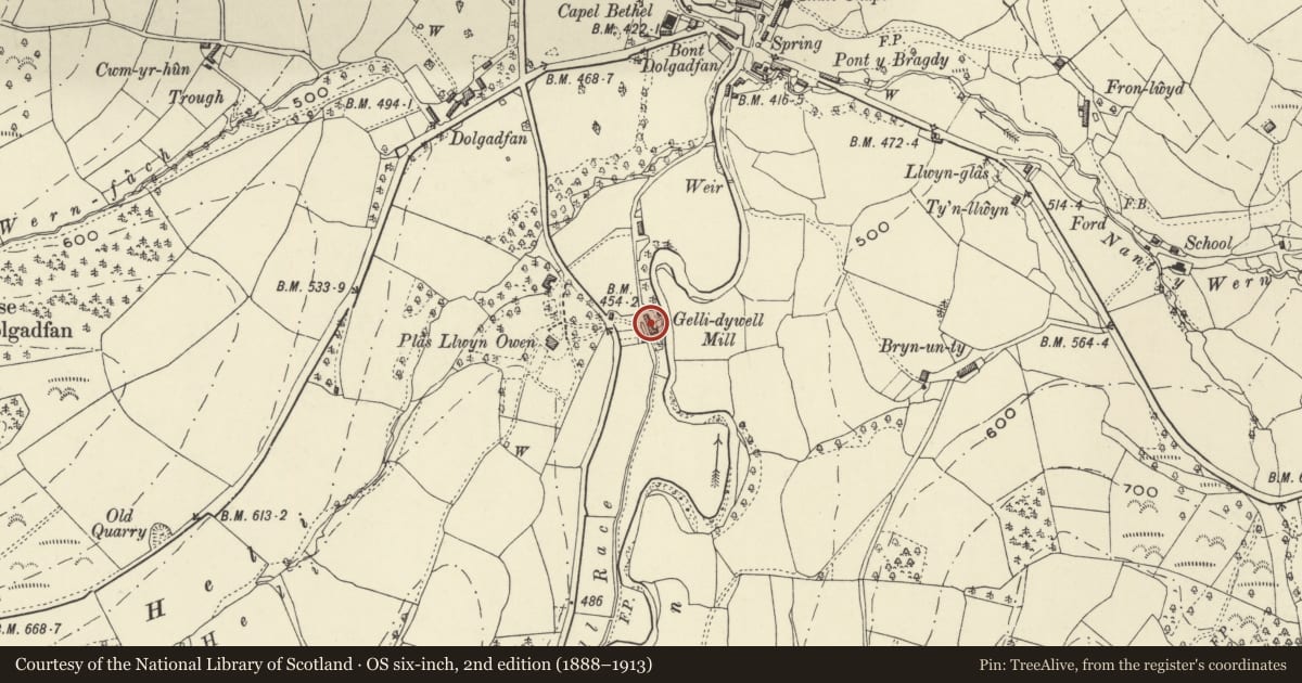 Ordnance Survey six-inch map, 2nd edition (1888–1913) covering the location of Bont Pandy mill and mill house, formerly known as Gelli-dymyll Mill, Llanbrynmair, Powys, with a pin at the register's coordinates