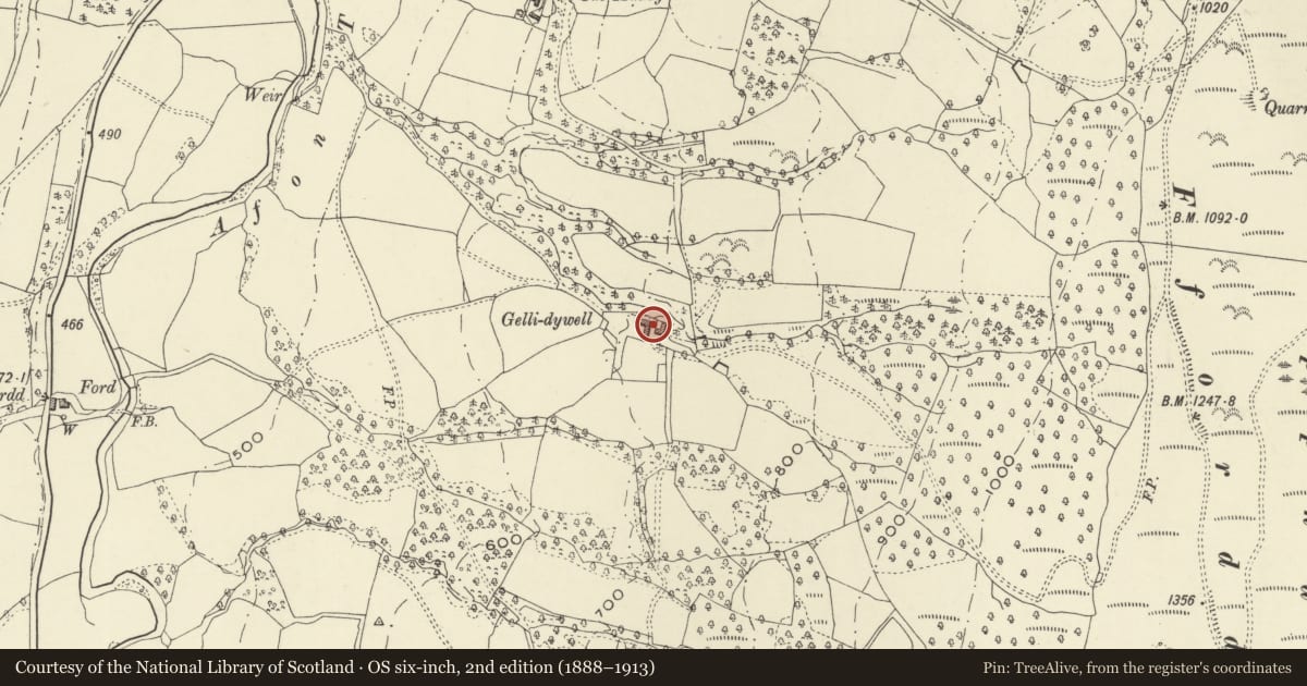 Ordnance Survey six-inch map, 2nd edition (1888–1913) covering the location of Estate farm building at Gellidywyll, Llanbrynmair, Powys, with a pin at the register's coordinates