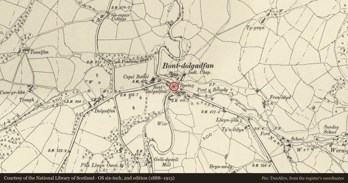 Ordnance Survey six-inch map, 2nd edition (1888–1913) covering the location of Bont Dolgadfan, Llanbrynmair, Powys, with a pin at the register's coordinates