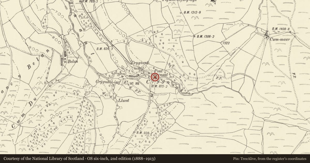 Ordnance Survey six-inch map, 2nd edition (1888–1913) covering the location of Pont Creignant, Llanbrynmair, Powys, with a pin at the register's coordinates