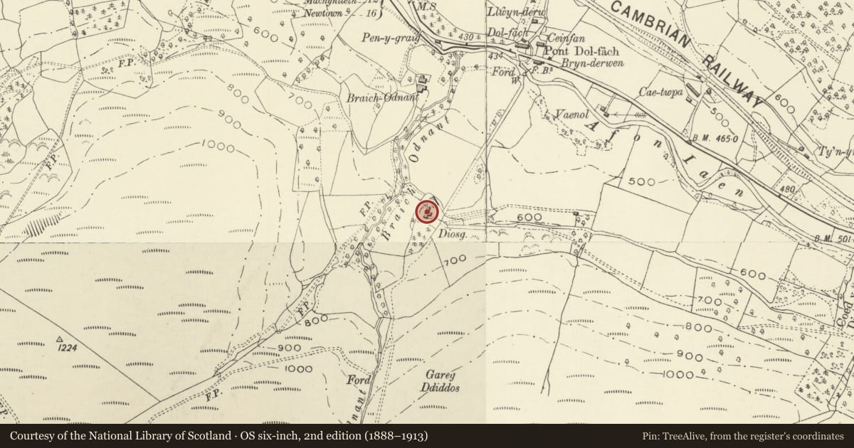 Ordnance Survey six-inch map, 2nd edition (1888–1913) covering the location of Diosg, Llanbrynmair, Powys, with a pin at the register's coordinates