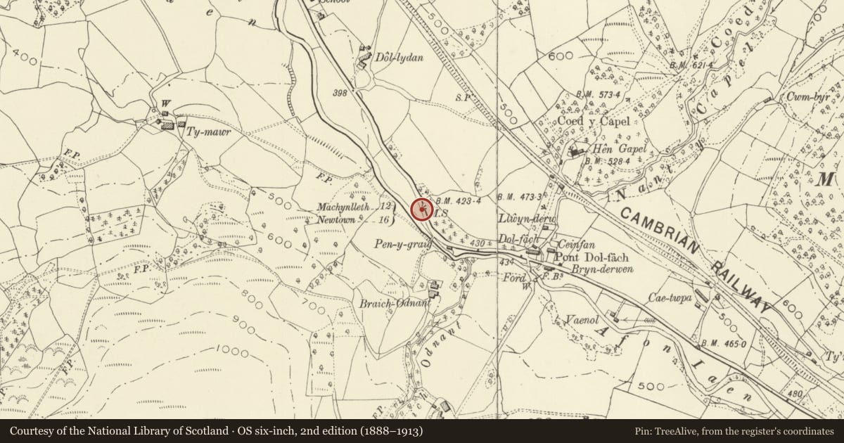 Ordnance Survey six-inch map, 2nd edition (1888–1913) covering the location of Milestone at the N end of Dol-fach, Llanbrynmair, Powys, with a pin at the register's coordinates