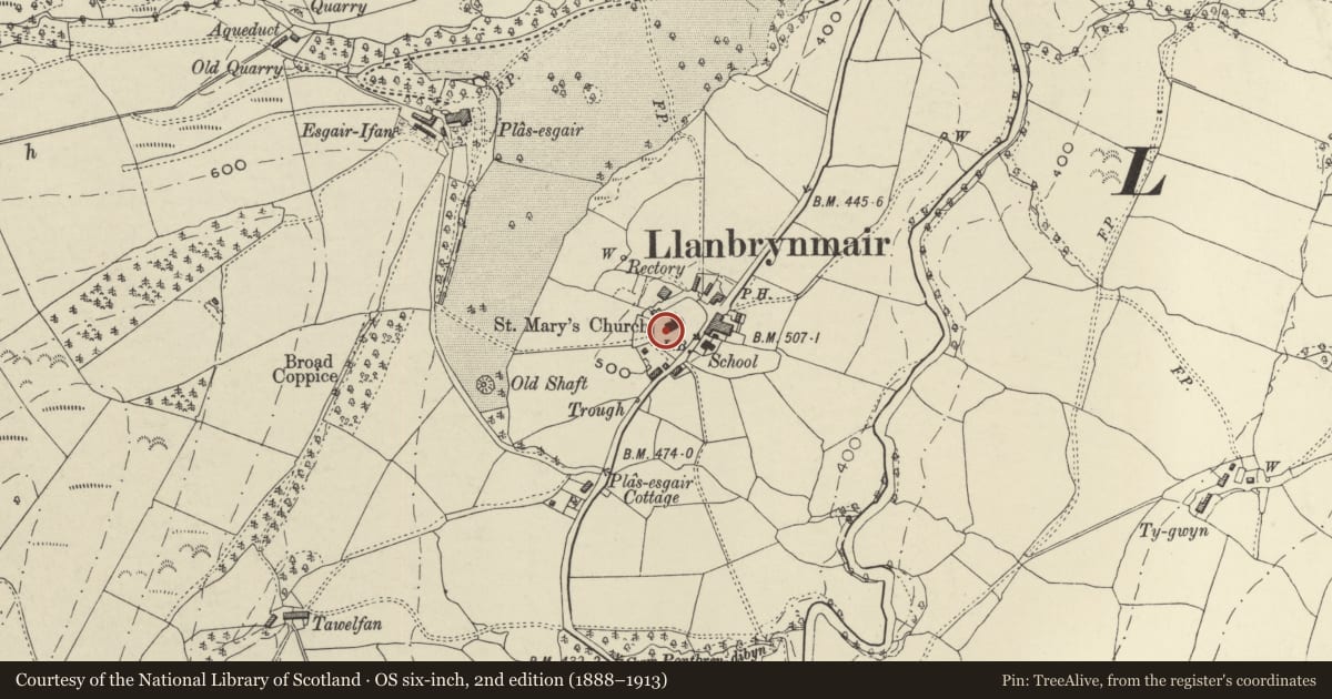 Ordnance Survey six-inch map, 2nd edition (1888–1913) covering the location of Sundial in the Churchyard of the Church of St Mary, Llanbrynmair, Powys, with a pin at the register's coordinates