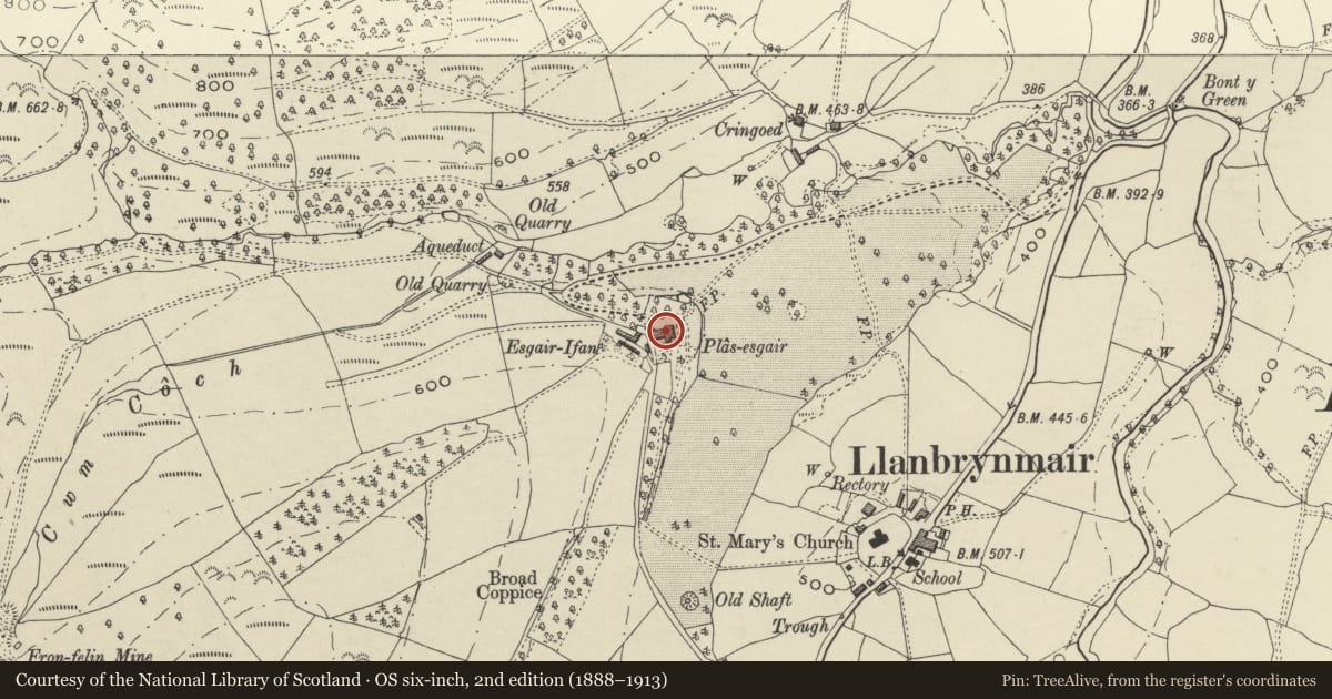 Ordnance Survey six-inch map, 2nd edition (1888–1913) covering the location of Plas esgair, Llanbrynmair, Powys, with a pin at the register's coordinates