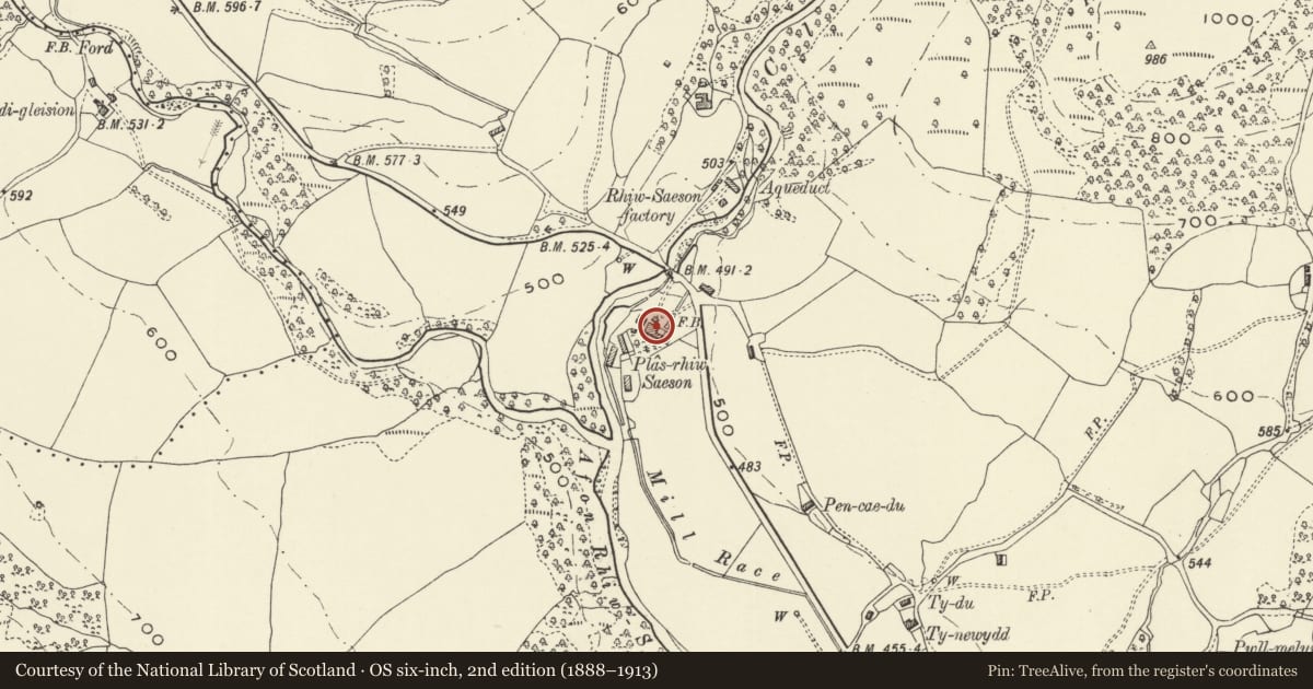 Ordnance Survey six-inch map, 2nd edition (1888–1913) covering the location of Plas rhiw-saeson, Llanbrynmair, Powys, with a pin at the register's coordinates