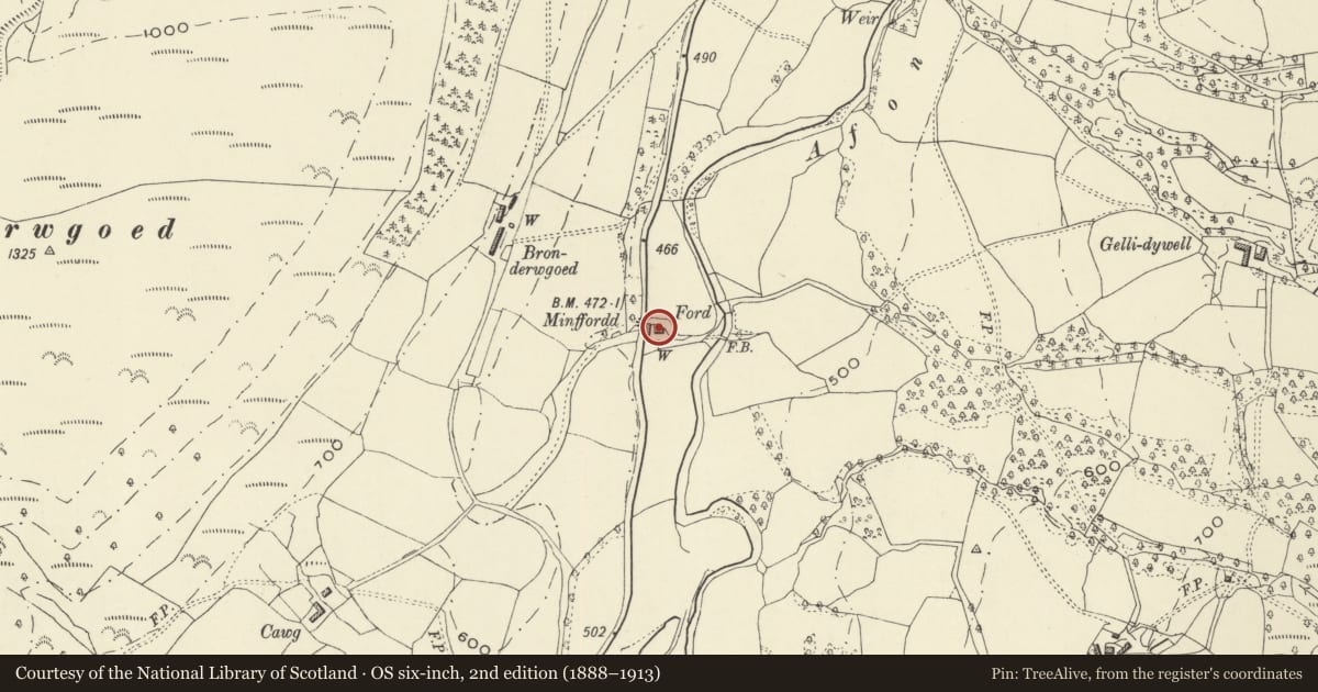 Ordnance Survey six-inch map, 2nd edition (1888–1913) covering the location of Barn at rear of Minfordd Cottages, Llanbrynmair, Powys, with a pin at the register's coordinates
