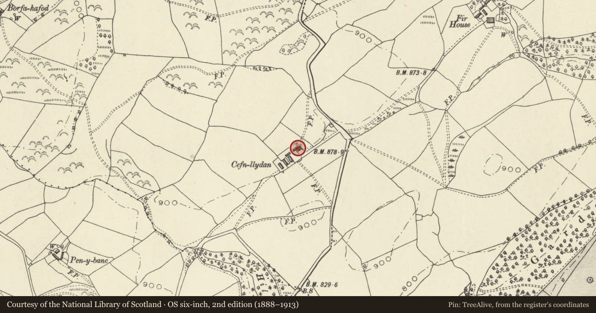 Ordnance Survey six-inch map, 2nd edition (1888–1913) covering the location of Cefnllydan, Tregynon, Powys, with a pin at the register's coordinates