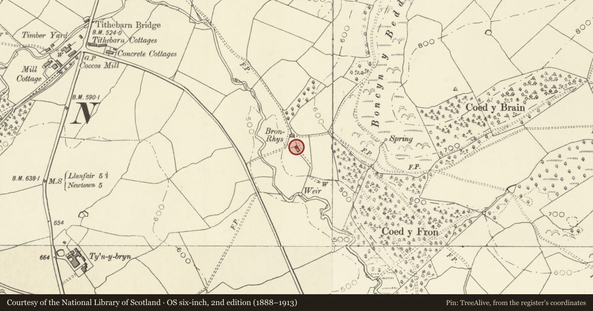 Ordnance Survey six-inch map, 2nd edition (1888–1913) covering the location of Bron Rhys, Tregynon, Powys, with a pin at the register's coordinates
