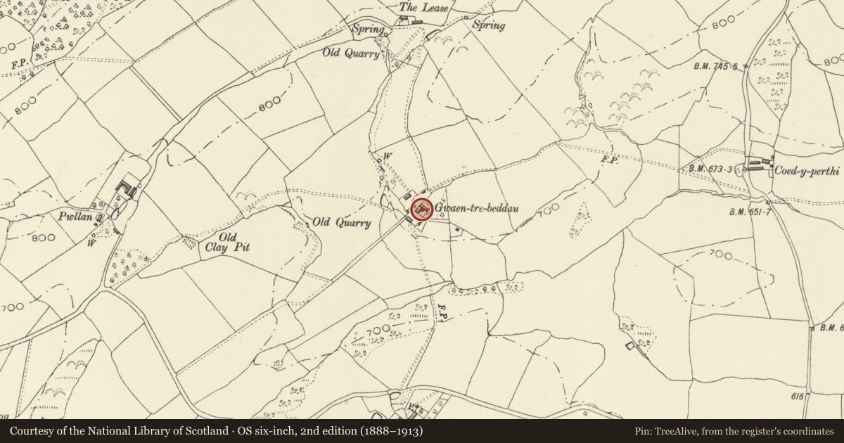Ordnance Survey six-inch map, 2nd edition (1888–1913) covering the location of Gwaentrebeddau, Tregynon, Powys, with a pin at the register's coordinates