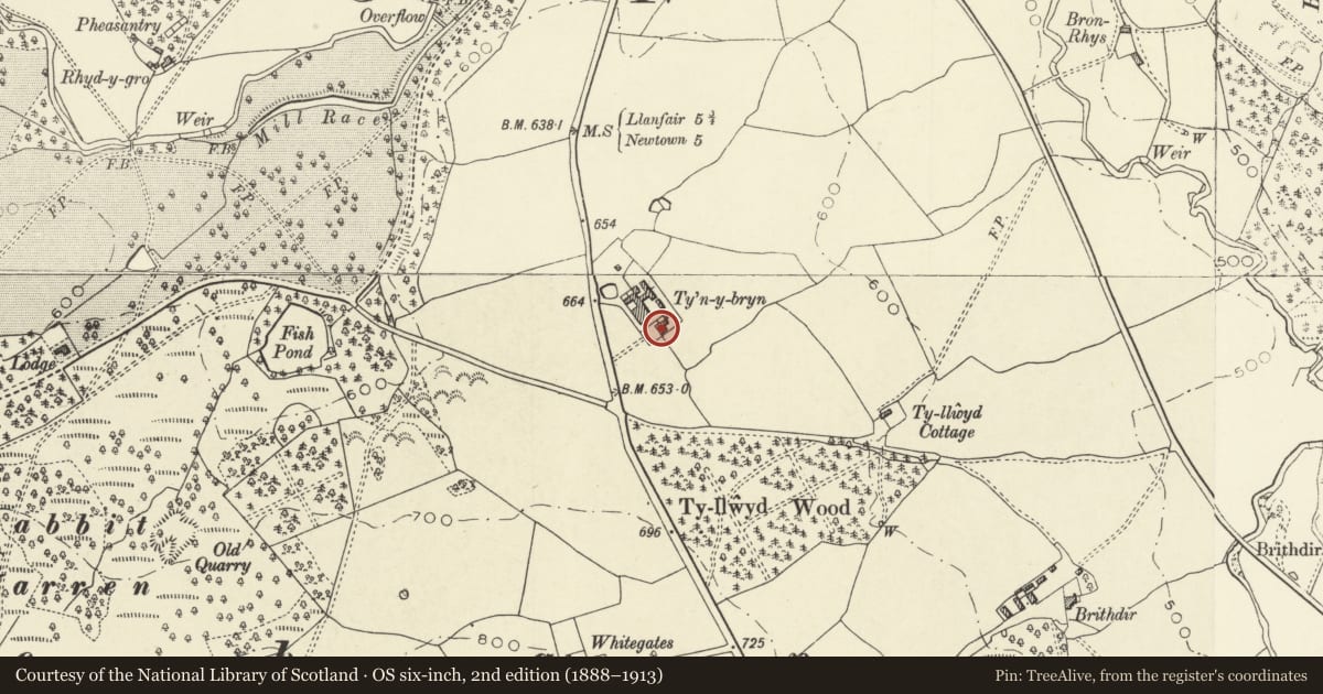 Ordnance Survey six-inch map, 2nd edition (1888–1913) covering the location of Ty'n y Bryn Farmhouse, Tregynon, Powys, with a pin at the register's coordinates