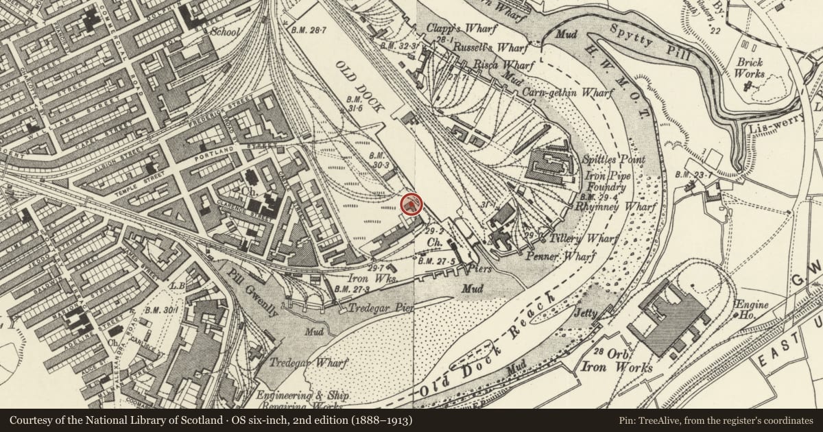 Ordnance Survey six-inch map, 2nd edition (1888–1913) covering the location of Baltic Oil Works, Pillgwenlly, Newport, with a pin at the register's coordinates