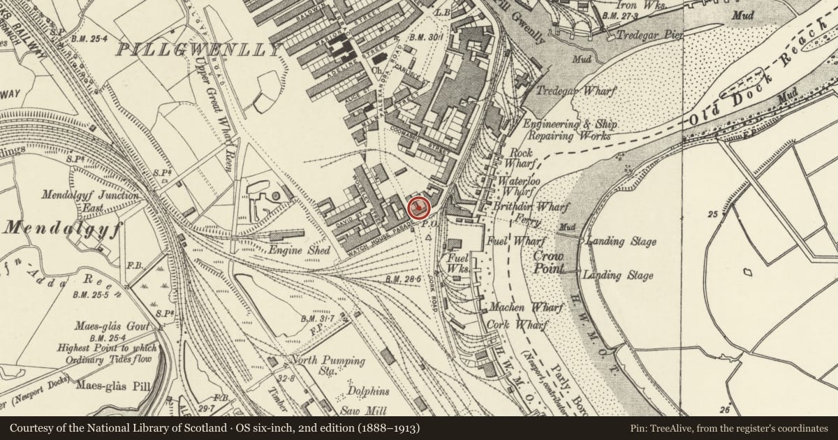 Ordnance Survey six-inch map, 2nd edition (1888–1913) covering the location of Waterloo Hotel PH, Pillgwenlly, Newport, with a pin at the register's coordinates