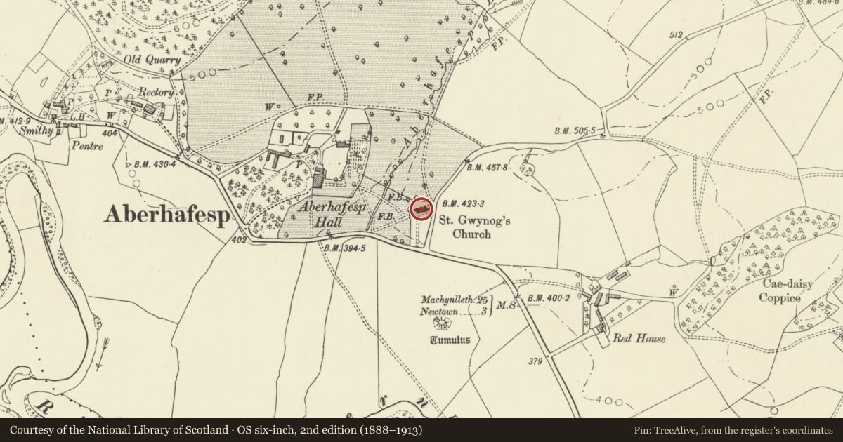 Ordnance Survey six-inch map, 2nd edition (1888–1913) covering the location of Church of St.Gwynnog, Aberhafesp, Powys, with a pin at the register's coordinates