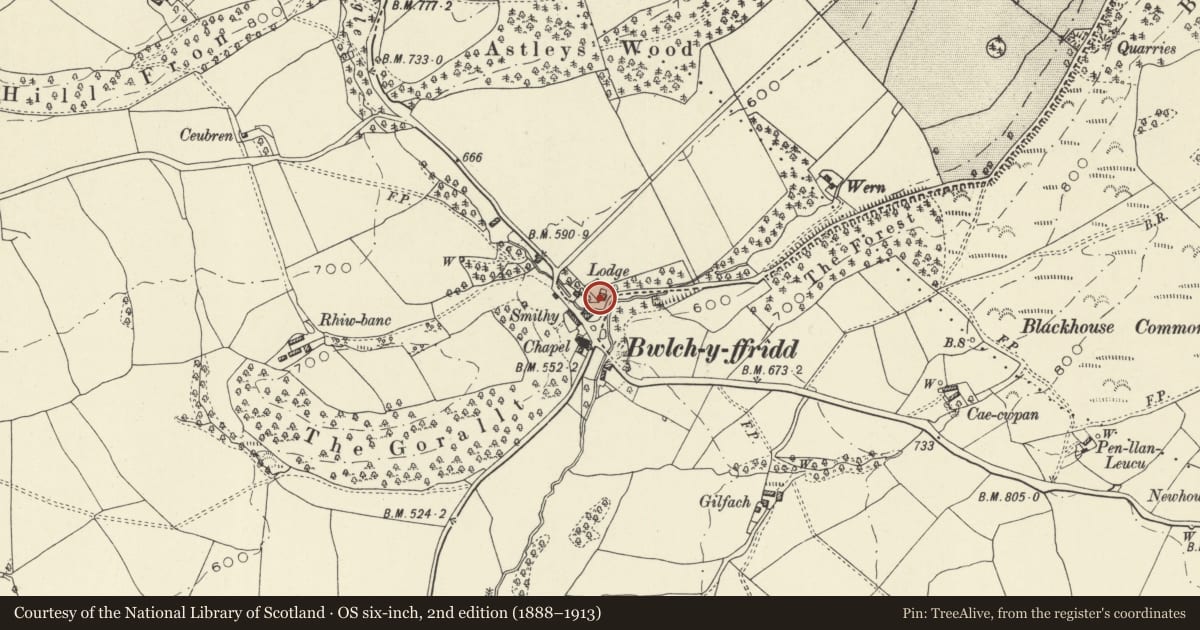 Ordnance Survey six-inch map, 2nd edition (1888–1913) covering the location of Lodge Farm, Aberhafesp, Powys, with a pin at the register's coordinates