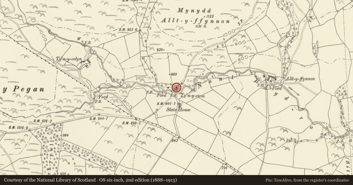 Ordnance Survey six-inch map, 2nd edition (1888–1913) covering the location of Ty'n y Cwm, Aberhafesp, Powys, with a pin at the register's coordinates