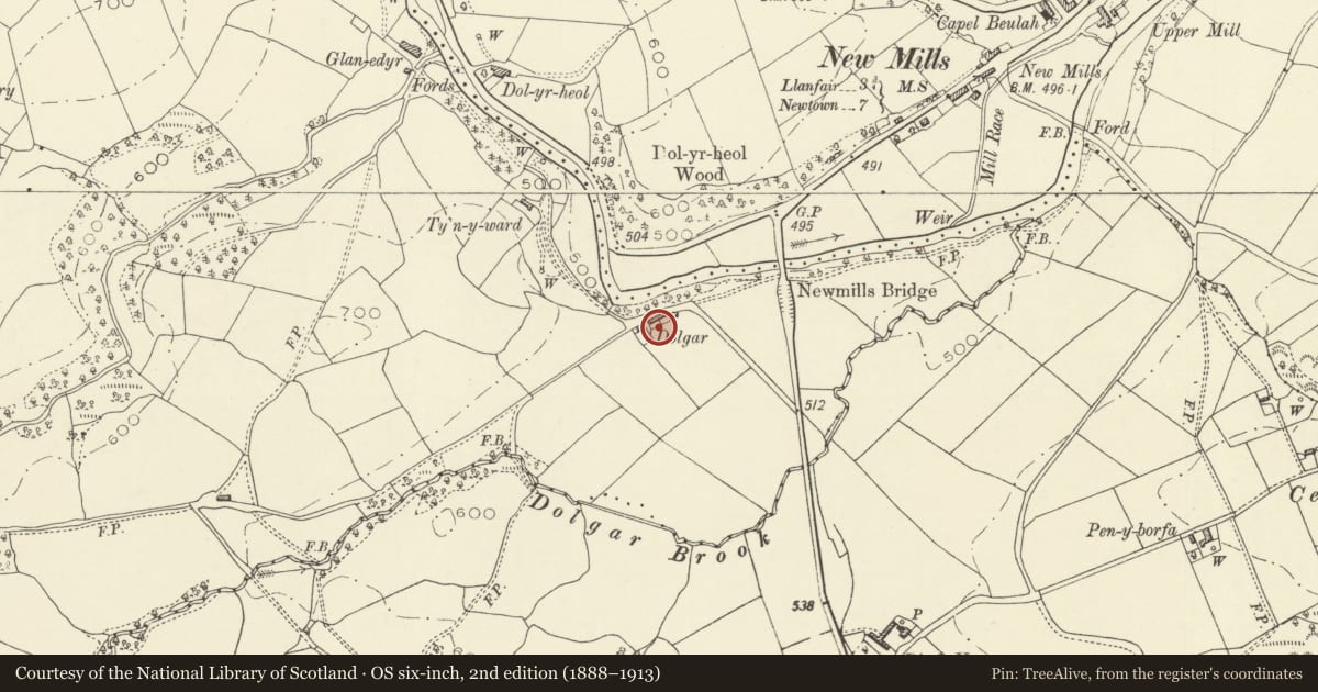 Ordnance Survey six-inch map, 2nd edition (1888–1913) covering the location of Dolgar, Dwyriw, Powys, with a pin at the register's coordinates