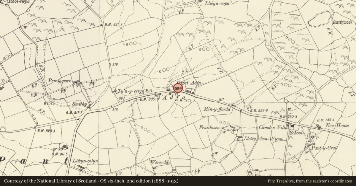 Ordnance Survey six-inch map, 2nd edition (1888–1913) covering the location of Capel Adfa with forecourt railings, Dwyriw, Powys, with a pin at the register's coordinates