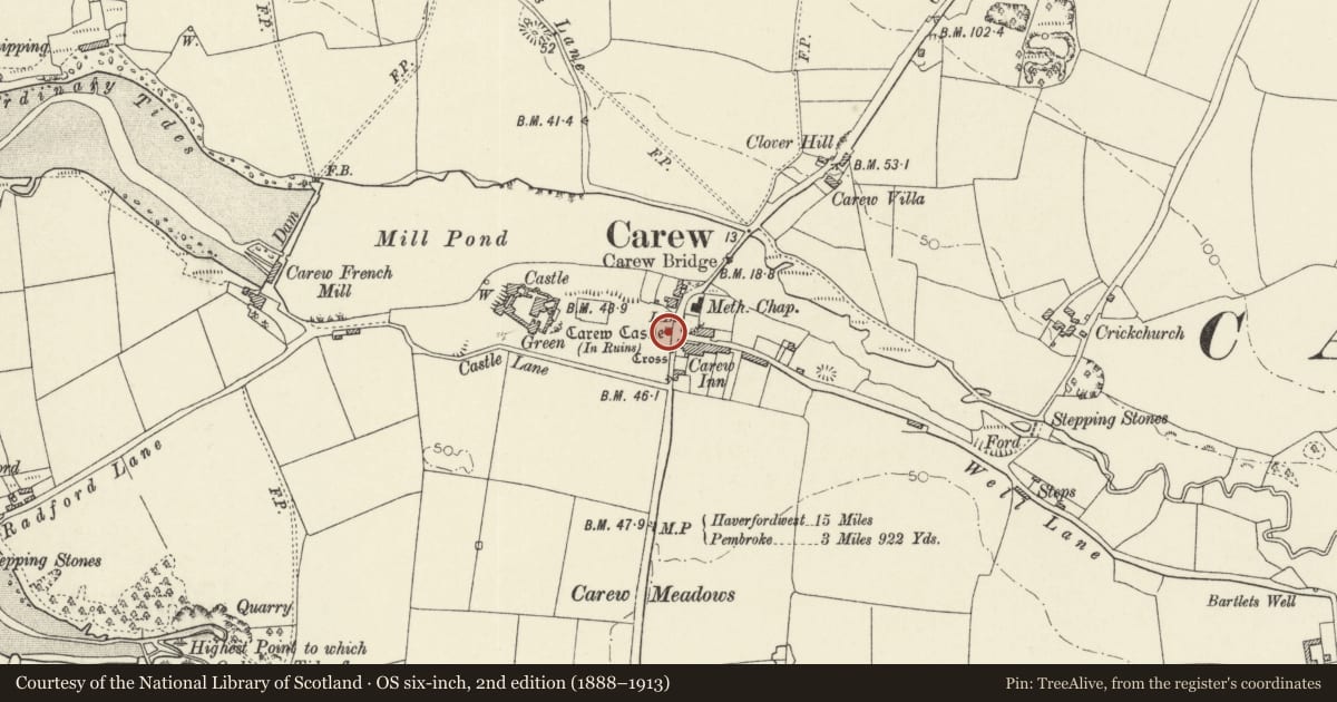 Ordnance Survey six-inch map, 2nd edition (1888–1913) covering the location of Castle Entrance Gatepiers and Old Cobbler's Shop, Carew, Pembrokeshire, with a pin at the register's coordinates