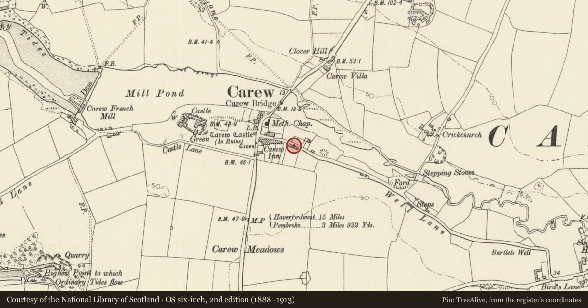 Ordnance Survey six-inch map, 2nd edition (1888–1913) covering the location of 7 Picton Terrace, Carew, Pembrokeshire, with a pin at the register's coordinates
