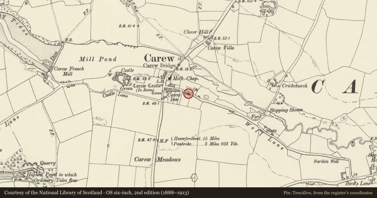 Ordnance Survey six-inch map, 2nd edition (1888–1913) covering the location of 8 Picton Terrace, Carew, Pembrokeshire, with a pin at the register's coordinates